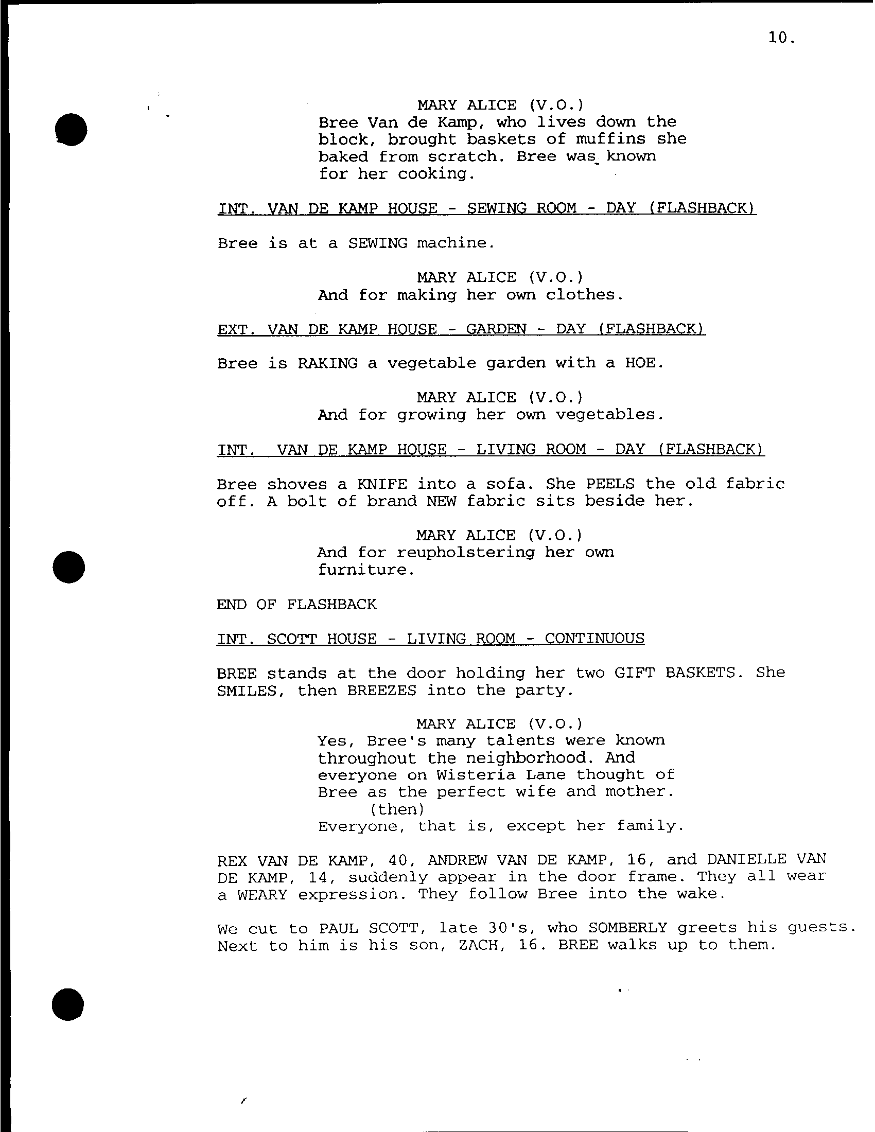 Page 11
