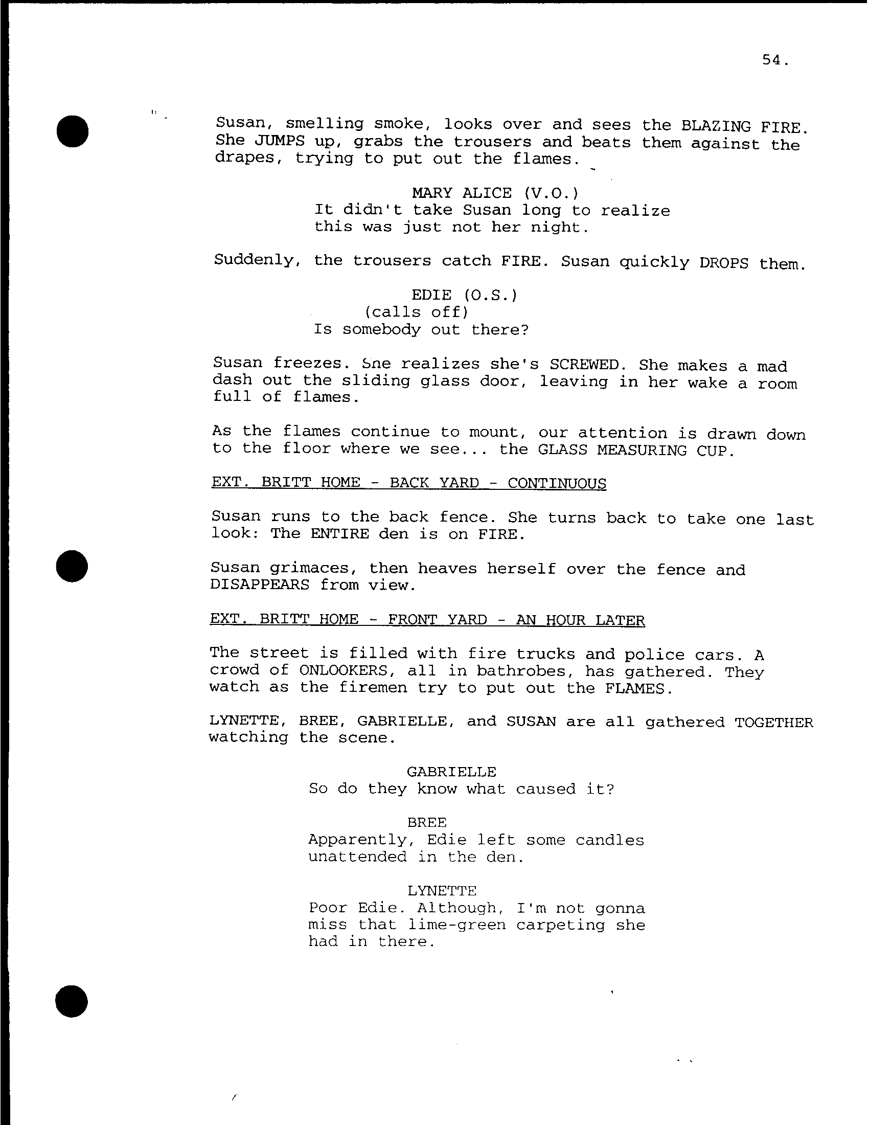 Page 55
