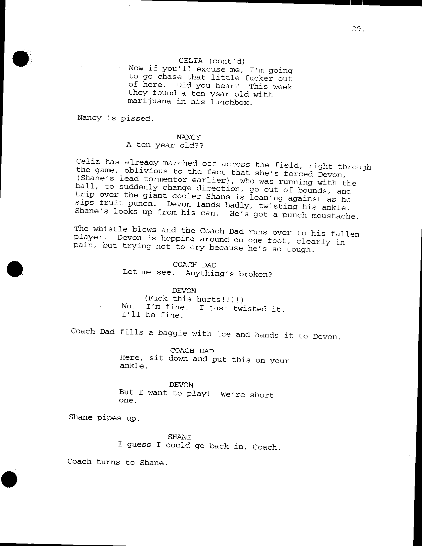 Page 29